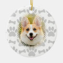 Search for dog bone ornaments Bones