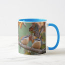 Search for nuthatch mugs Animal