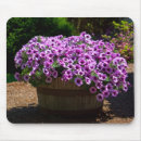 Search for petunias mousepads Purple