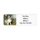 Search for old fashioned return address labels Red