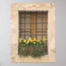 Search for window box art Windows