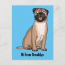 Search for funny pug postcards Cartoon