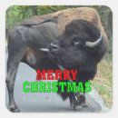 Recherche de bisons autocollants Taureau