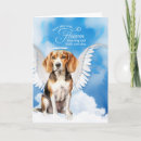 Recherche de beags Chien