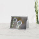 Search for thistle plant cards Nature