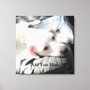 Search for dog sitter posters Puppy