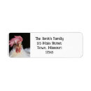 Search for funny chicken return address labels Bird