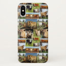 Search for dairy cow iphone cases Cows