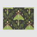 Search for moon tissue paper Luna moth