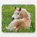 Recherche de poney mignon tapis souris Poneys