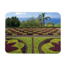 Recherche de madère magnets Île