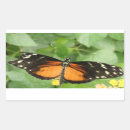 Search for lepidoptera stickers Butterfly