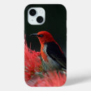 Search for scarlet iphone cases Bird