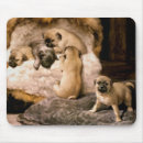 Search for pug mousepads Puppies