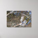 Search for danita delimont canvas prints Hunting