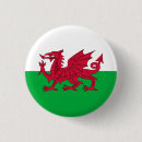 Search for cymru buttons Red dragon