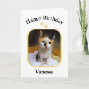 Search for calicos cards Kitty