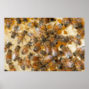 Search for danita delimont posters British columbia