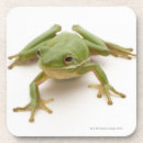 Search for angling barware Cute