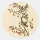Search for audubon stickers Illustration
