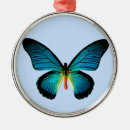 Search for blue butterfly ornaments Moth