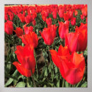 Search for ballerina posters Flowers