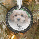 Search for family with dog ornaments For pets