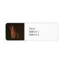 Search for irish setter return address labels Animal