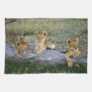 Recherche de lion cuisine linges Gros chat