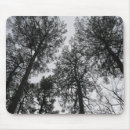 Recherche de grand arbre tapis souris Arbres