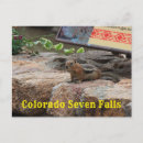 Recherche de squirrel cartes postales Vert