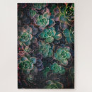 Search for succulent puzzles Flowers