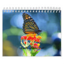 Search for 2010 calender calendars Outdoors