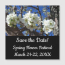 Search for clusters invitations White