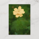 Recherche de harmonie cartes visite Nature