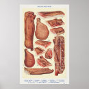 Search for bacons posters Illustration