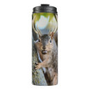 Search for cute squirrel pictures mugs Animal
