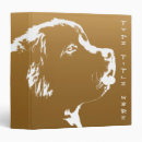 Search for dog photo albums Dogs