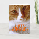 Search for sister cat birthday cards Kitty