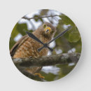 Recherche de arrière plan vert horloges Oiseau