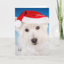 Search for westie christmas cards Cute dogs