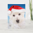 Search for westie dog christmas cards Cute dogs