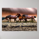 Search for chevaux posters Soleil