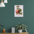 Recherche de redouté posters Fruit