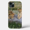 Search for mara electronics Kenya