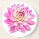Search for dahlia flower coasters Pretty