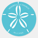 Search for sand dollar Sea