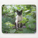 Search for sweet dog mousepads Puppy