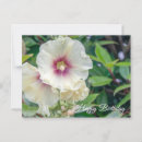 Search for hollyhock cards Flora