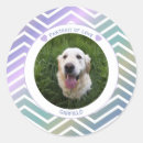 Search for pet lover stickers Modern
